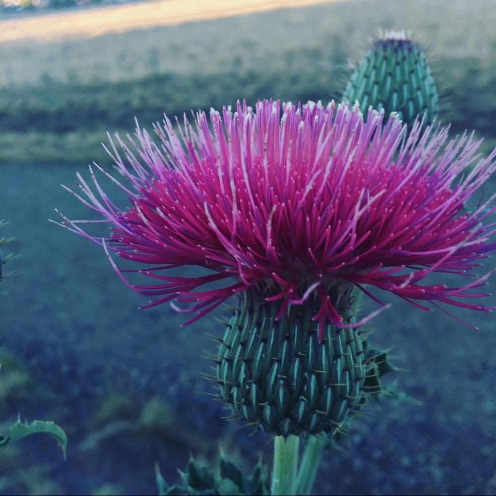 Meet your Posher, Zoe